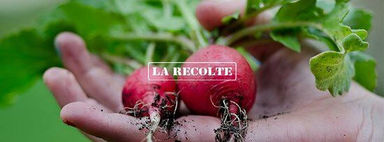 La Recolte Batignolles