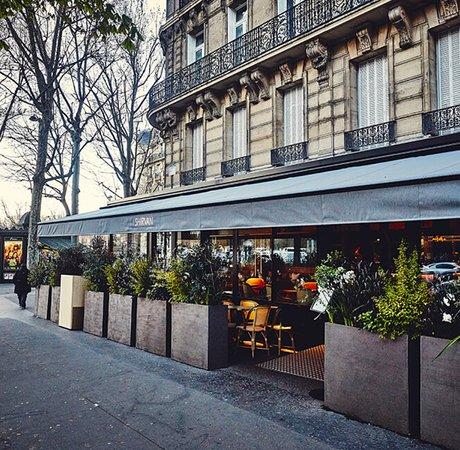 Shirvan Cafe Metisse