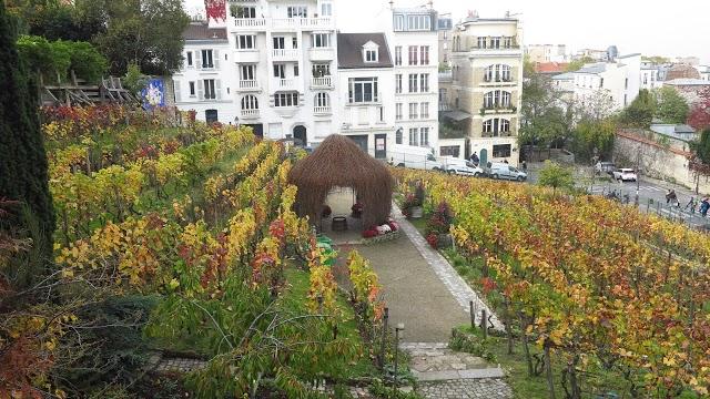 Vigna Montmartre