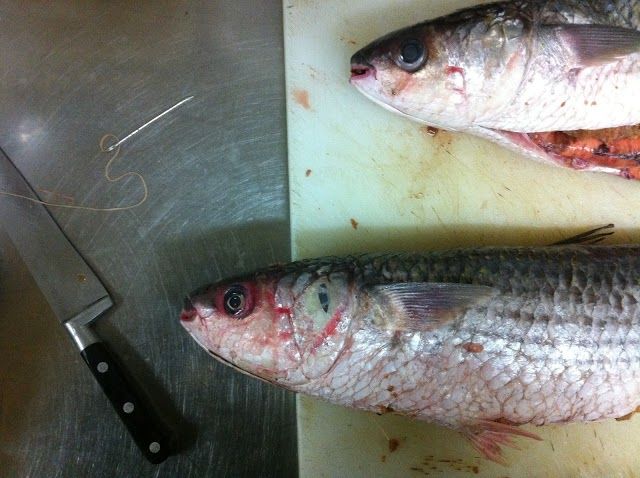 Waly-Fay Senegalese Restaurant