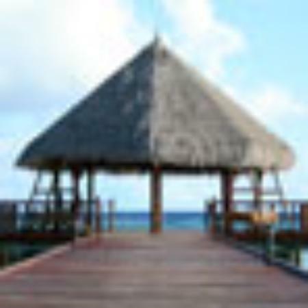 Restaurant Branche D'Olive